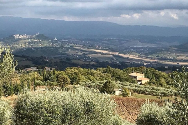 gestione proprietà todi